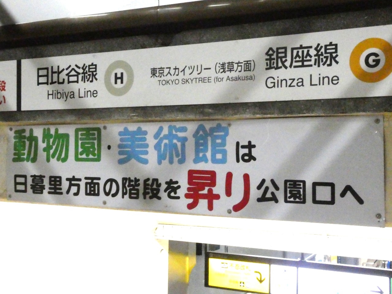 上野(ギャラリー)